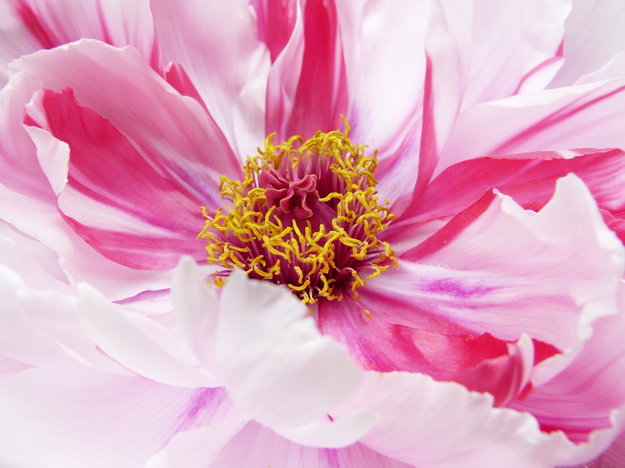 How to Create a Self-Care Routine That Works